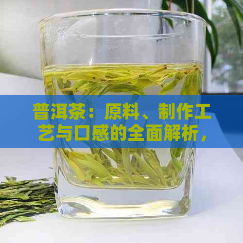 普洱茶：原料、制作工艺与口感的全面解析，让你深入了解这款茶叶的一切