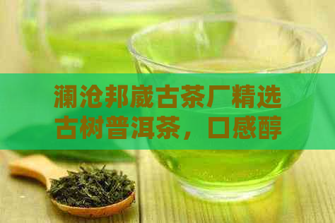 澜沧邦崴古茶厂精选古树普洱茶，口感醇厚，价格实，品鉴解析