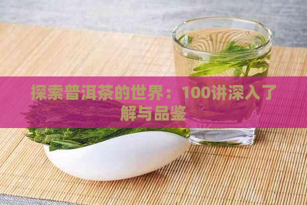 探索普洱茶的世界：100讲深入了解与品鉴