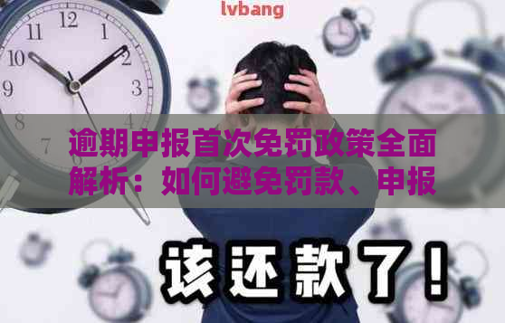 逾期申报首次免罚政策全面解析：如何避免罚款、申报期限及后续处理