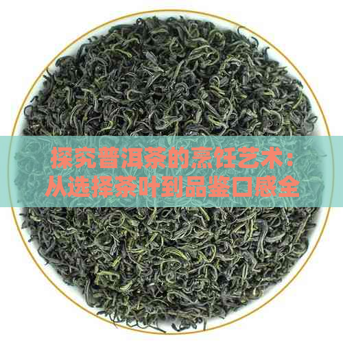 探究普洱茶的烹饪艺术：从选择茶叶到品鉴口感全方位解析