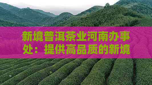 新境普洱茶业河南办事处：提供高品质的新境普洱茶，欢迎光临！