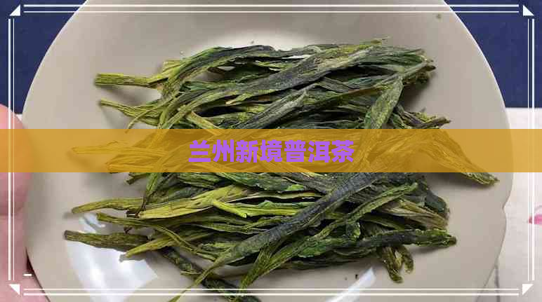 兰州新境普洱茶