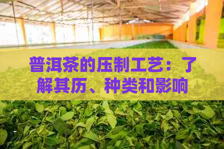 普洱茶的压制工艺：了解其历、种类和影响