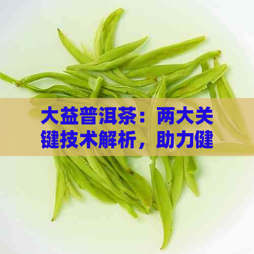 大益普洱茶：两大关键技术解析，助力健生活