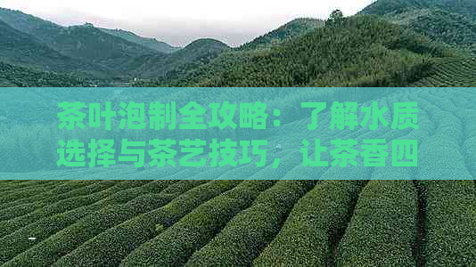 茶叶泡制全攻略：了解水质选择与茶艺技巧，让茶香四溢！