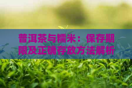 普洱茶与糯米：保存期限及正确存放方法解析，确保茶叶品质和口感