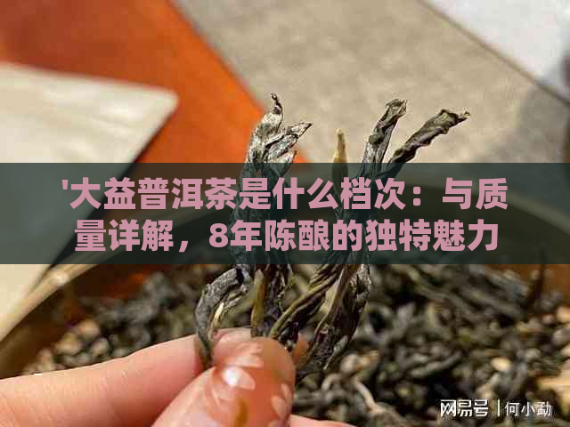 '大益普洱茶是什么档次：与质量详解，8年陈酿的独特魅力'