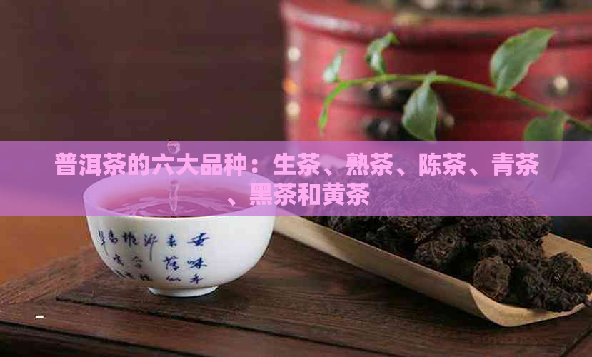 普洱茶的六大品种：生茶、熟茶、陈茶、青茶、黑茶和黄茶