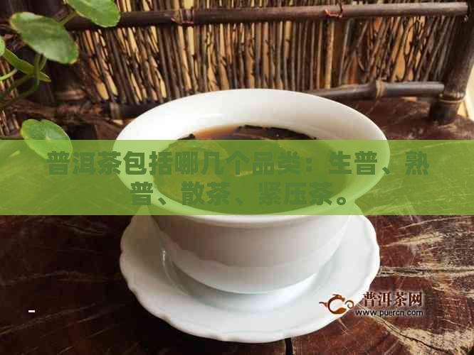 普洱茶包括哪几个品类：生普、熟普、散茶、紧压茶。