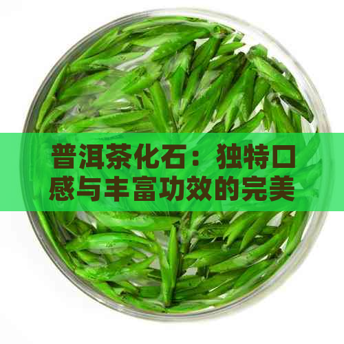 普洱茶化石：独特口感与丰富功效的完美结合