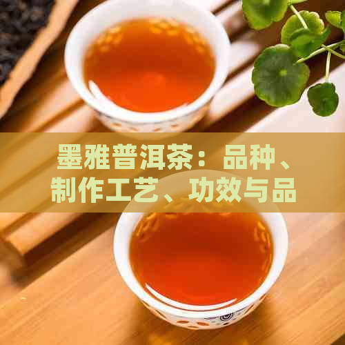 墨雅普洱茶：品种、制作工艺、功效与品鉴全方位解析，让你成为普洱茶专家