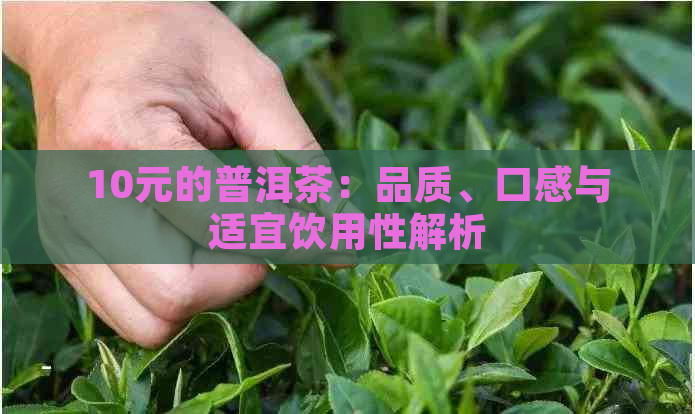 10元的普洱茶：品质、口感与适宜饮用性解析