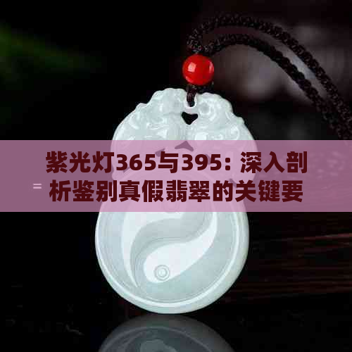 紫光灯365与395: 深入剖析鉴别真假翡翠的关键要素