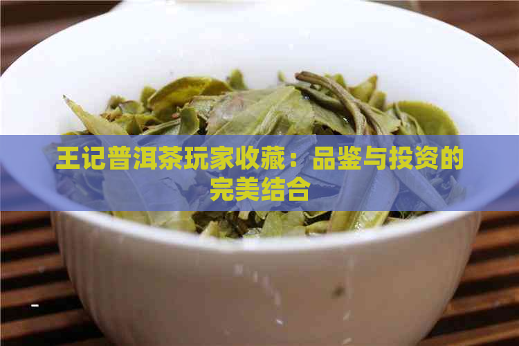 王记普洱茶玩家收藏：品鉴与投资的完美结合