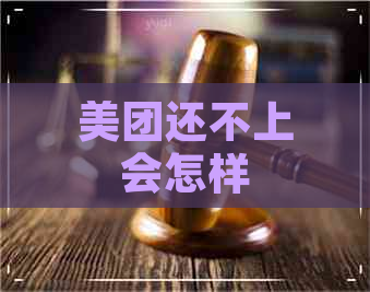 美团还不上会怎样