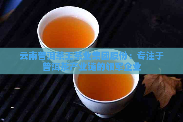 云南普洱茶王茶业集团股份：专注于普洱茶产业链的领军企业