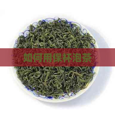 如何用保杯泡茶