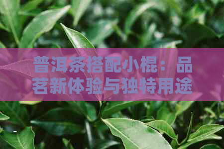 普洱茶搭配小棍：品茗新体验与独特用途揭秘