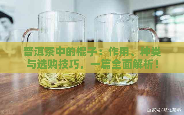 普洱茶中的棍子：作用、种类与选购技巧，一篇全面解析！