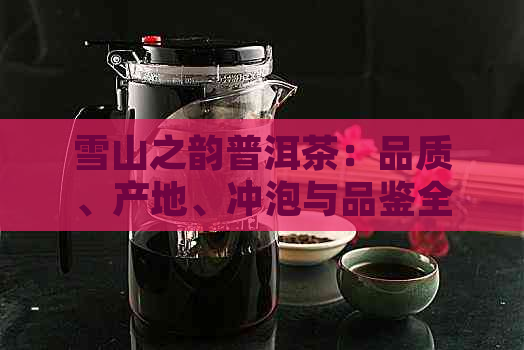 雪山之韵普洱茶：品质、产地、冲泡与品鉴全方位解析