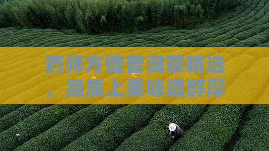 药师方健普洱茶精选，品质上乘味道醇厚，功效显著健之选