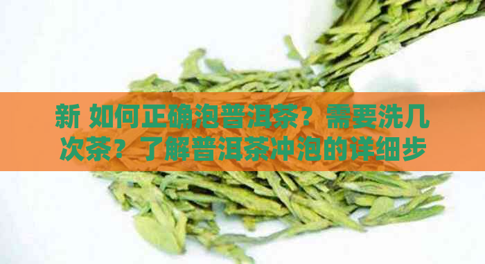 新 如何正确泡普洱茶？需要洗几次茶？了解普洱茶冲泡的详细步骤