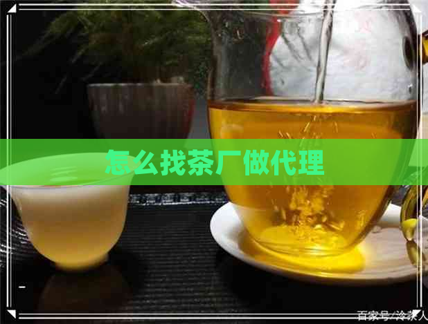 怎么找茶厂做代理