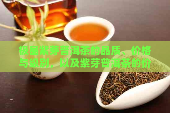 极品紫芽普洱茶的品质、价格与级别，以及紫芽普洱茶的价格表。