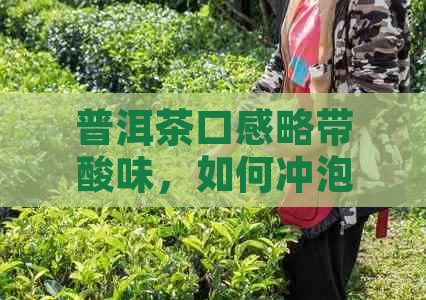 普洱茶口感略带酸味，如何冲泡才能展现其独特风味？