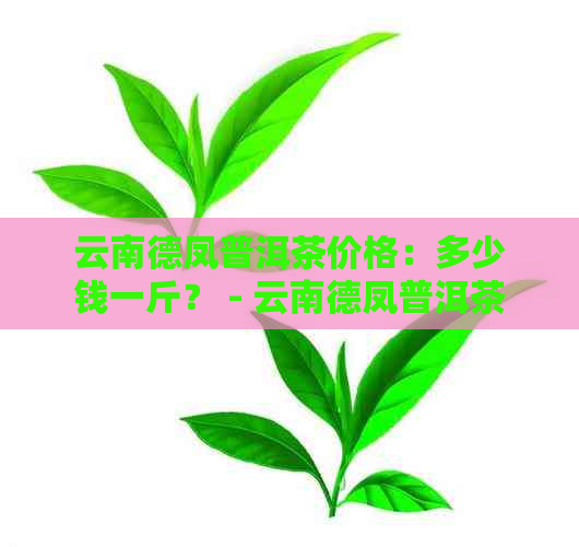 云南德凤普洱茶价格：多少钱一斤？ - 云南德凤普洱茶叶