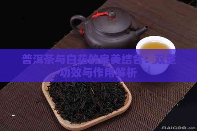 普洱茶与白花的完美结合：双重功效与作用解析