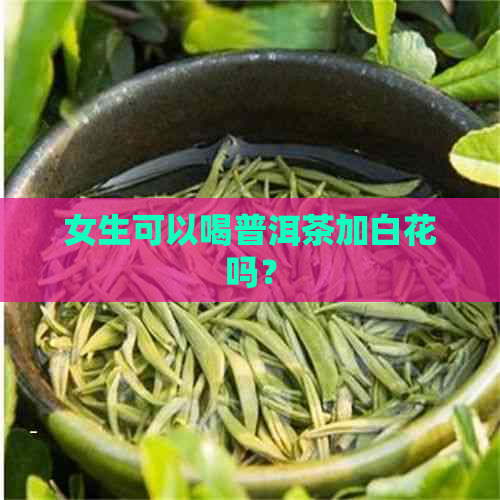 女生可以喝普洱茶加白花吗？