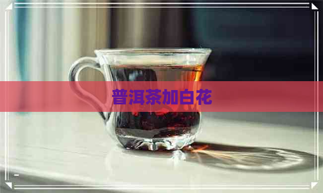 普洱茶加白花