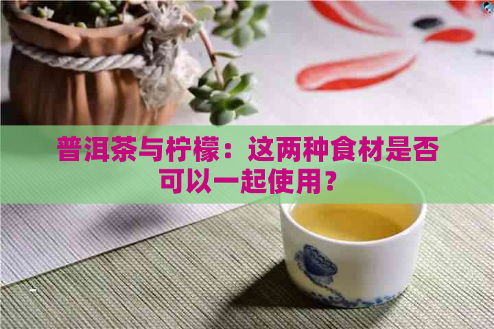 普洱茶与柠檬：这两种食材是否可以一起使用？