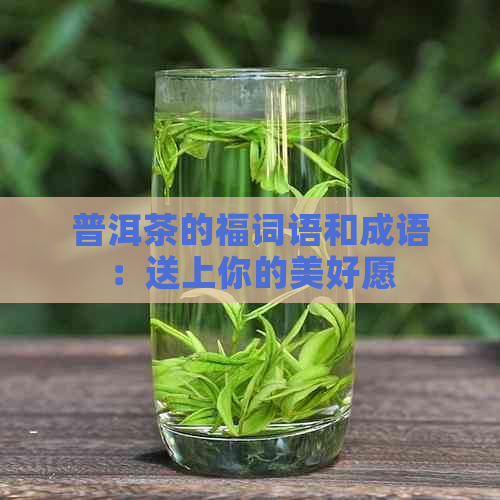 普洱茶的福词语和成语：送上你的美好愿