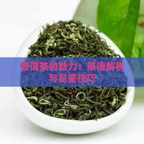 普洱茶的魅力：茶语解析与品鉴技巧