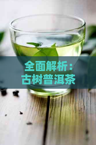 全面解析：古树普洱茶十大名牌茶厂，了解其历、工艺与口感