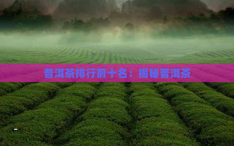 普洱茶排行前十名：揭秘普洱茶