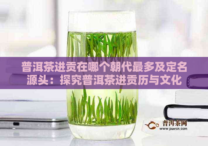 普洱茶进贡在哪个朝代最多及定名源头：探究普洱茶进贡历与文化