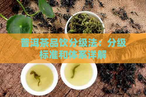 普洱茶品饮分级法：分级标准和体系详解