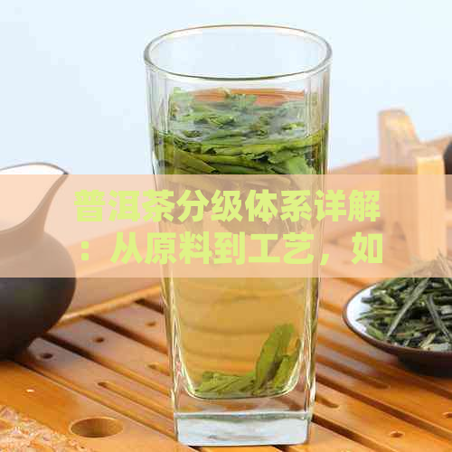 普洱茶分级体系详解：从原料到工艺，如何选购和品鉴高品质普洱茶？