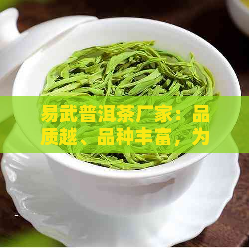 易武普洱茶厂家：品质越、品种丰富，为您提供一站式茶叶解决方案