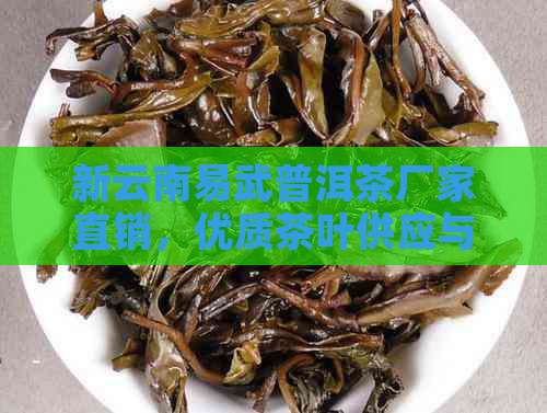 新云南易武普洱茶厂家直销，优质茶叶供应与批发地址查询