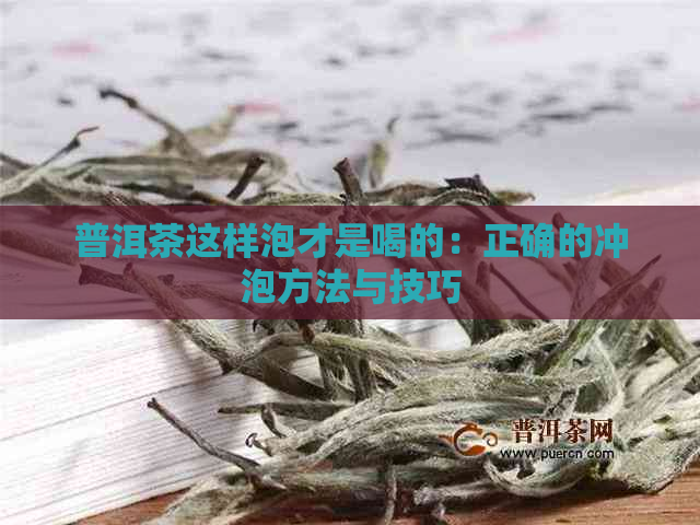 普洱茶这样泡才是喝的：正确的冲泡方法与技巧