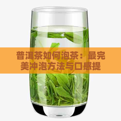 普洱茶如何泡茶：最完美冲泡方法与口感提升技巧