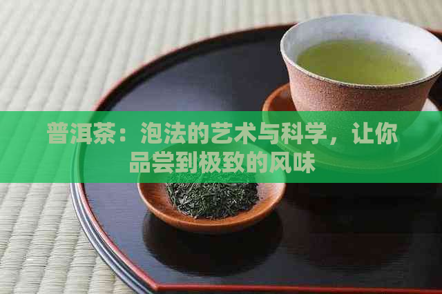 普洱茶：泡法的艺术与科学，让你品尝到极致的风味