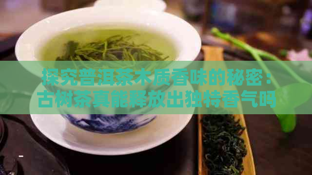 探究普洱茶木质香味的秘密：古树茶真能释放出独特香气吗？