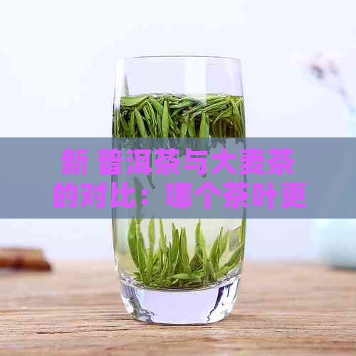 新 普洱茶与大麦茶的对比：哪个茶叶更适合你？