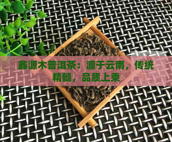 鑫源木普洱茶：源于云南，传统精髓，品质上乘